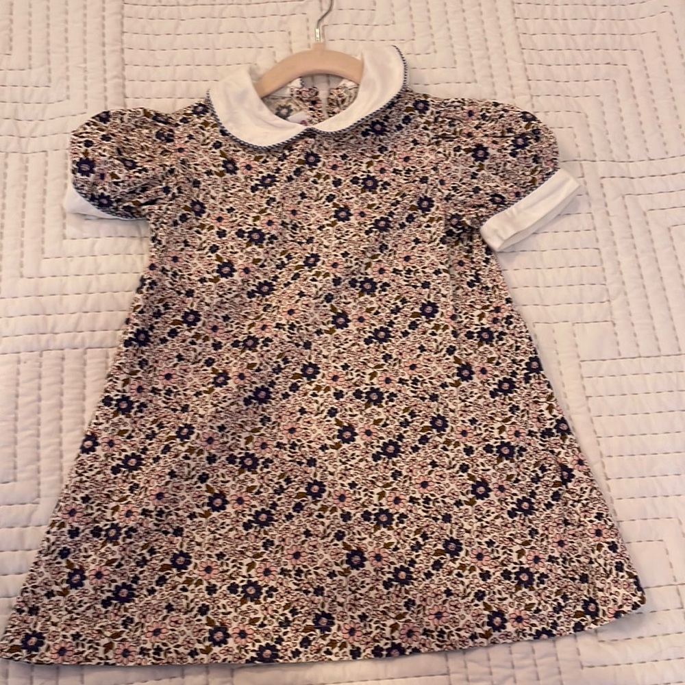 Posh Pickle Dress Size 4 T